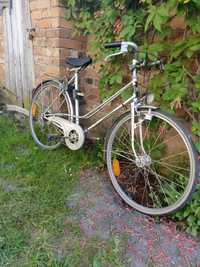 Stary rower na kwietnik
