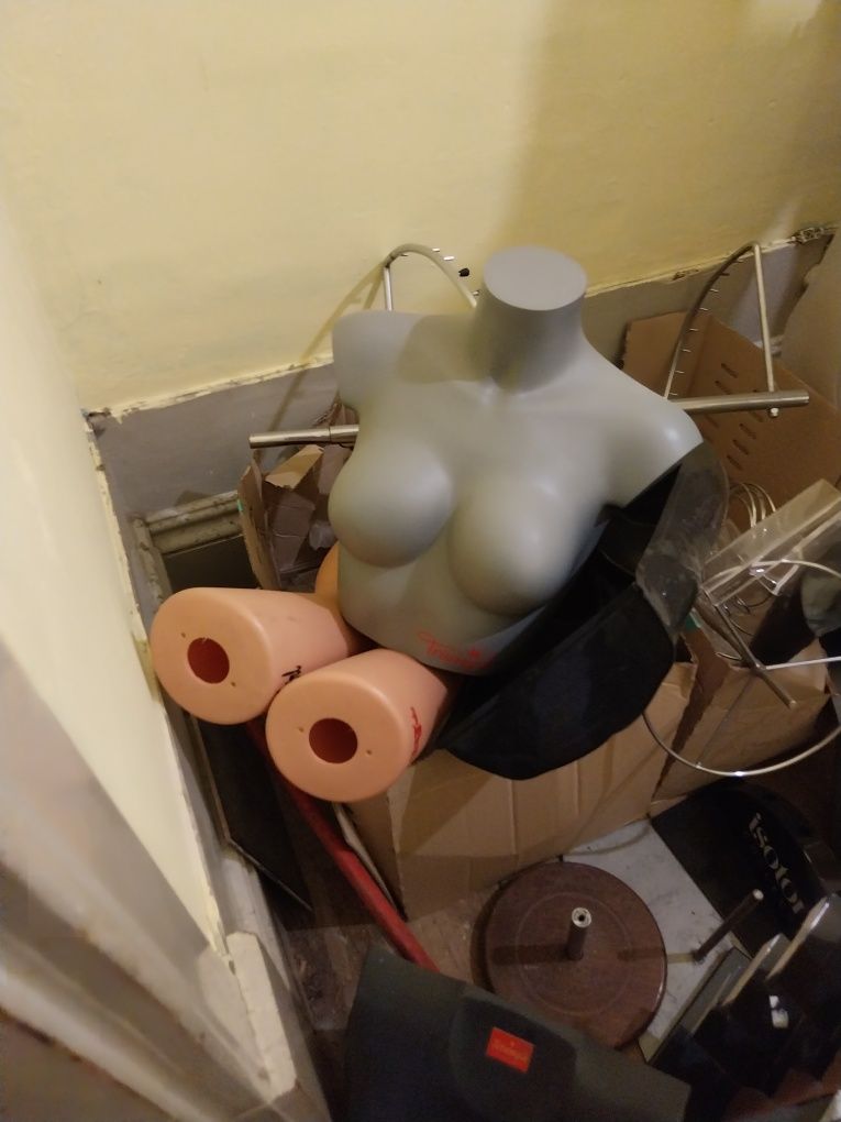 Manequins e Bustos