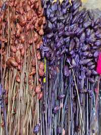 Бриза натуральная сухоцвет, оптом, пшеница в разных цветах
