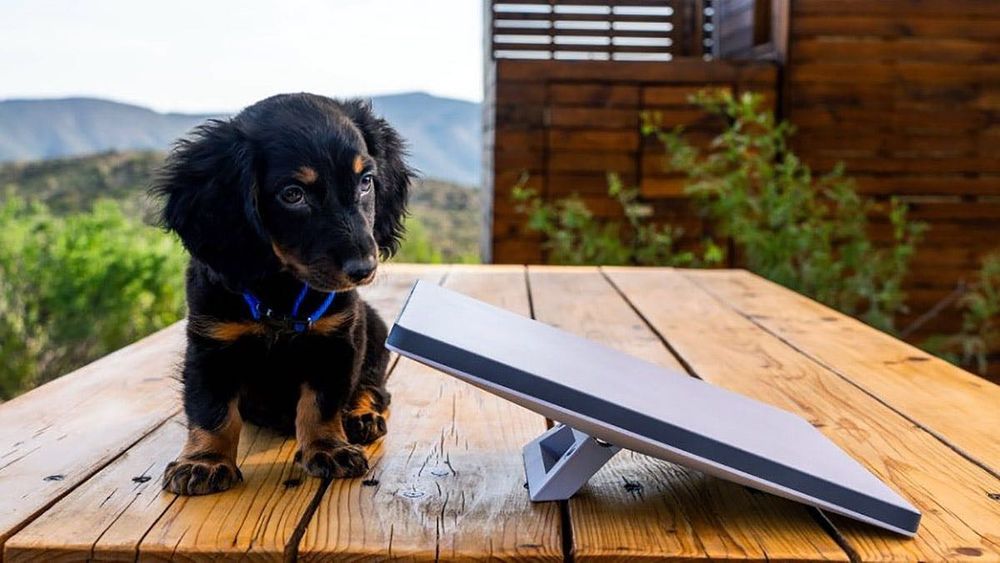 PROMOCJA Wynajem Starlink - internet na kempingu, w górach, za granicą