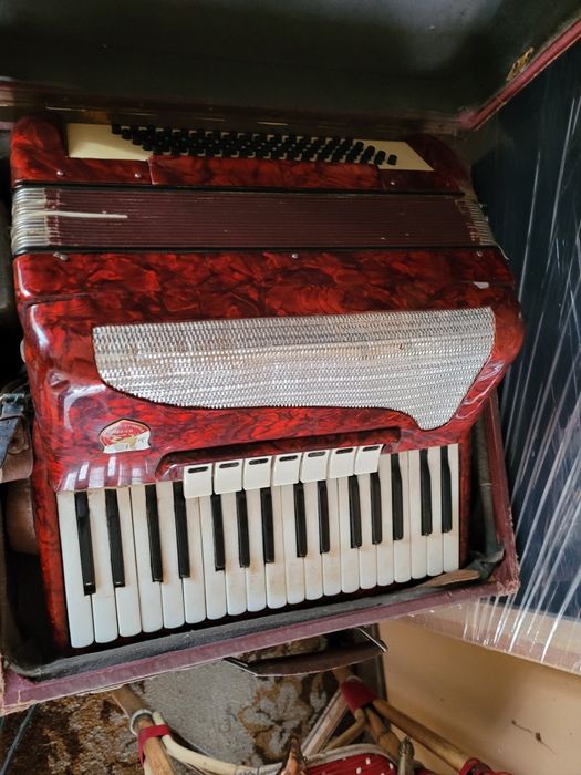 Akordeon na sprzedaż