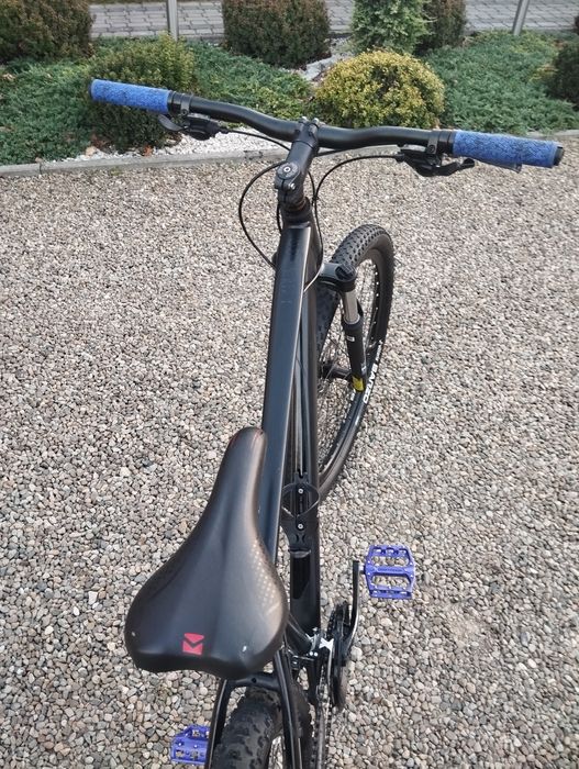 Kands Comper 29 stan igła