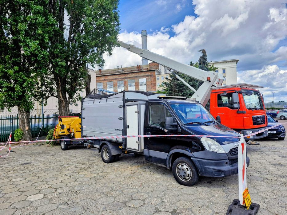 Wycinanie drzew, przycinanie, formowanie koron, Warszawa i okolice.