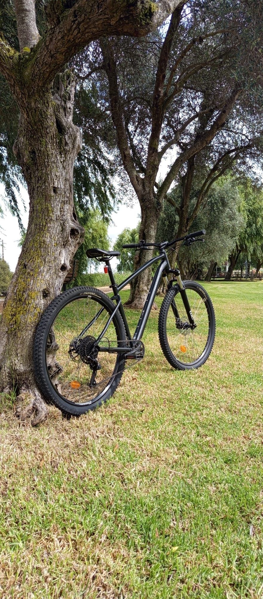 Rockerider 500 xl