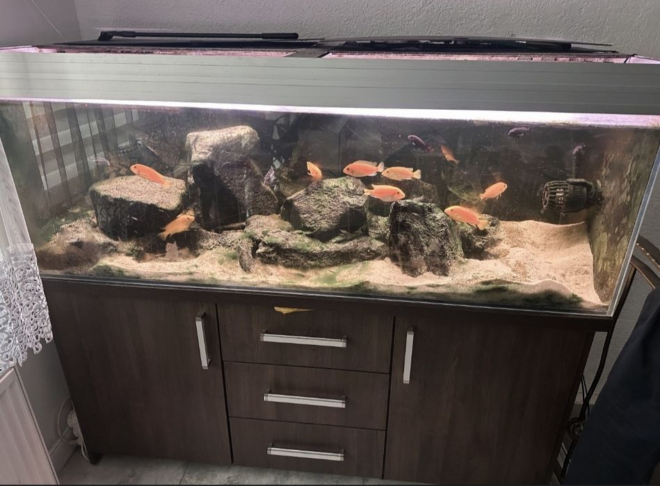 Akwarium 450 l , plus akcesoria