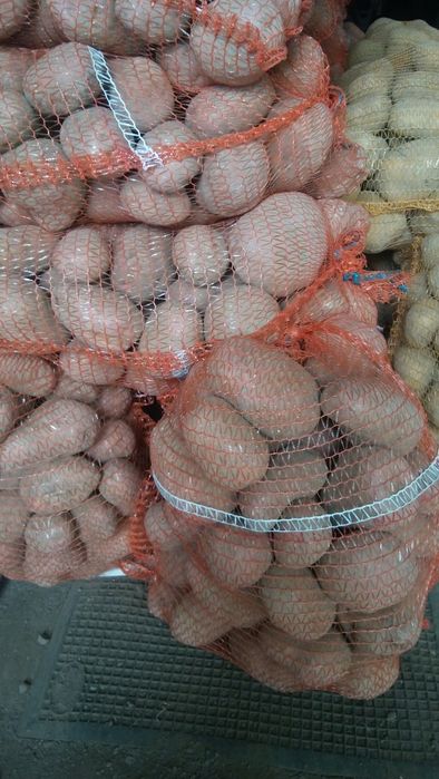 Ziemniaki belarosa i Soraya .