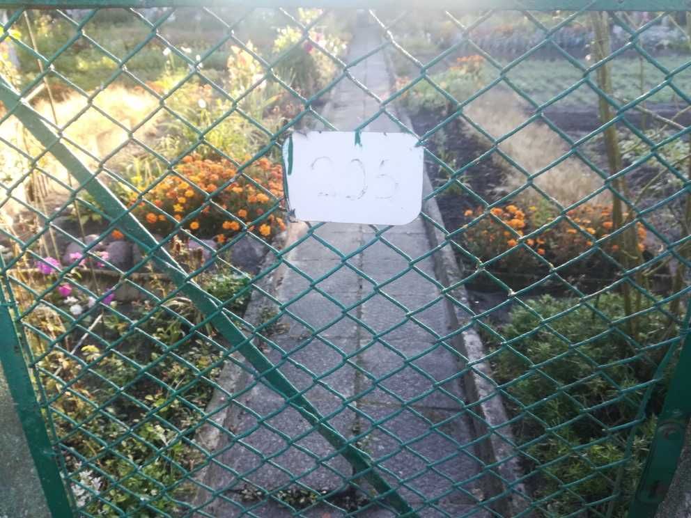 SPRZEDAM Atrakcyjną Działkę