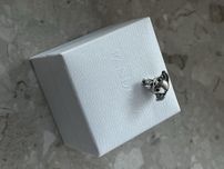 Charms pandora zgredek