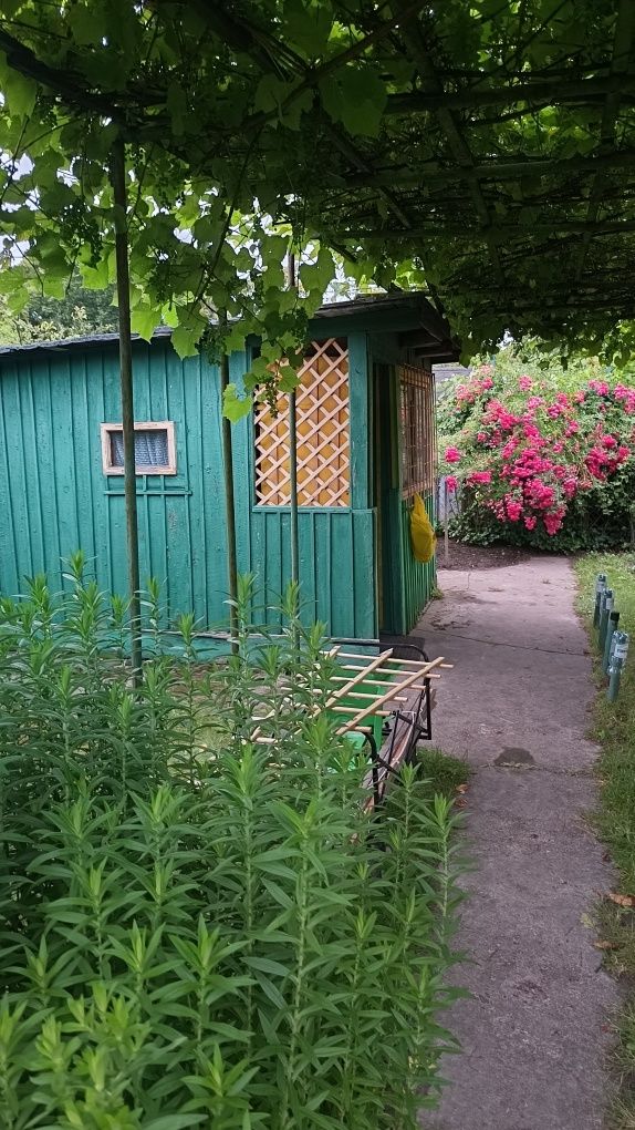 Dzialka ROD "DOLAM" ul. Mościckiego, Brochów, Wrocław
