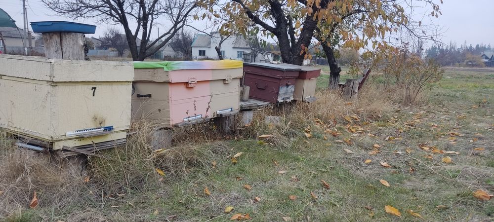 Улики, улья, вулики, корпуса для пчёл