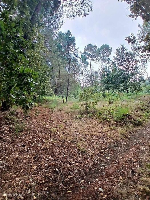 Terreno  para venda
