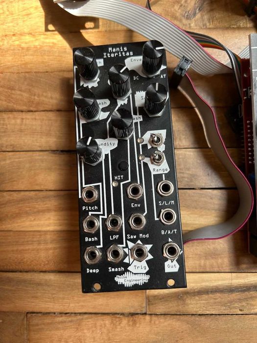 Noise Engineering Manis Iteritas