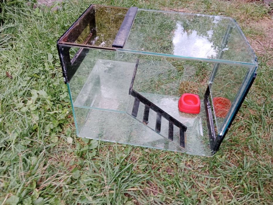 Terrarium 41x25x31