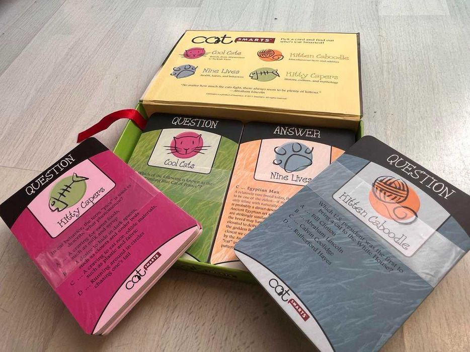 Gra Cat Smarts - nauka angielskiego poprzez zabawę