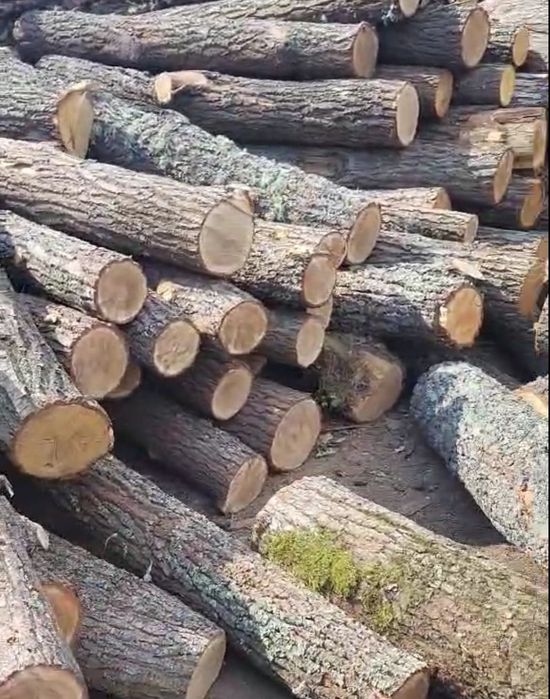 Дрова ТВЕРДИХ порід. Мінімальна ціна. С доставкою. 3/6/8/10.5 ск/м