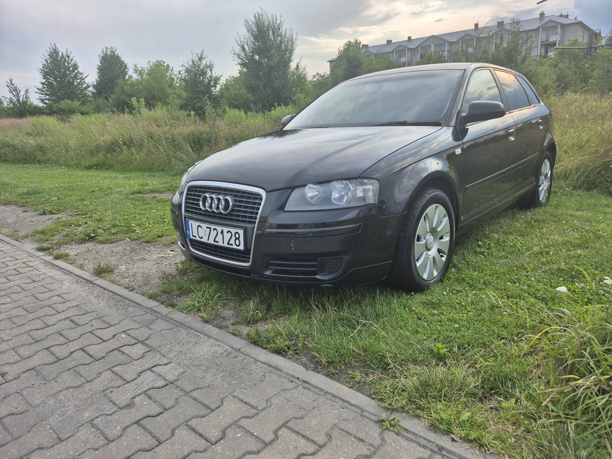 Audi A3 8P 2005r 1.9 tDi Anglik