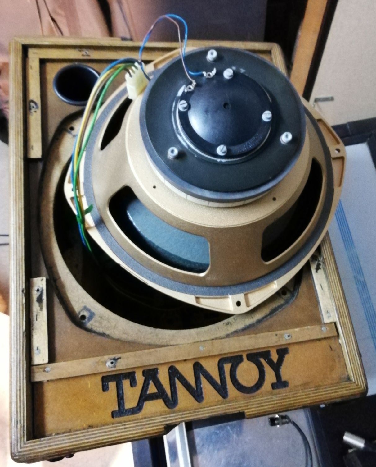 TANNOY Lynx 12" par