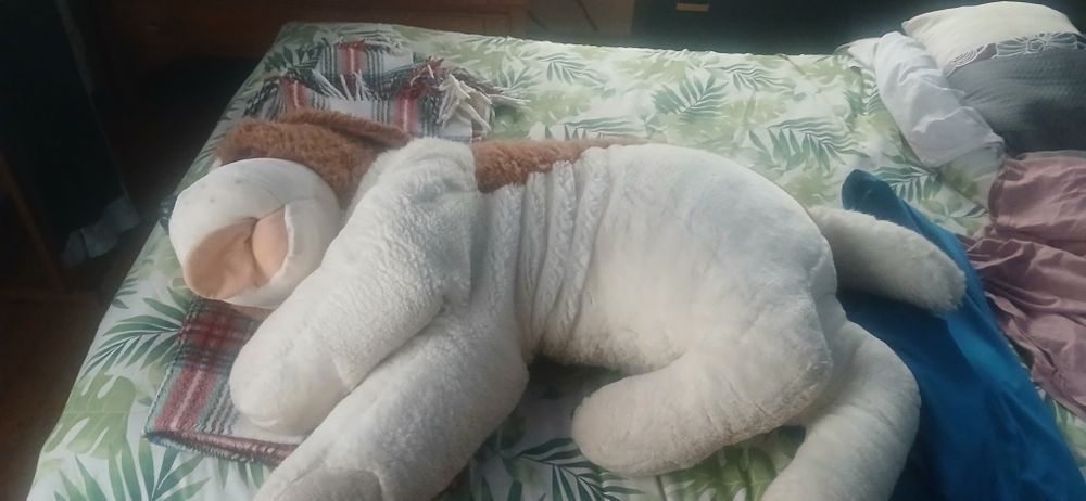 Peluche cão espetacular para crianças