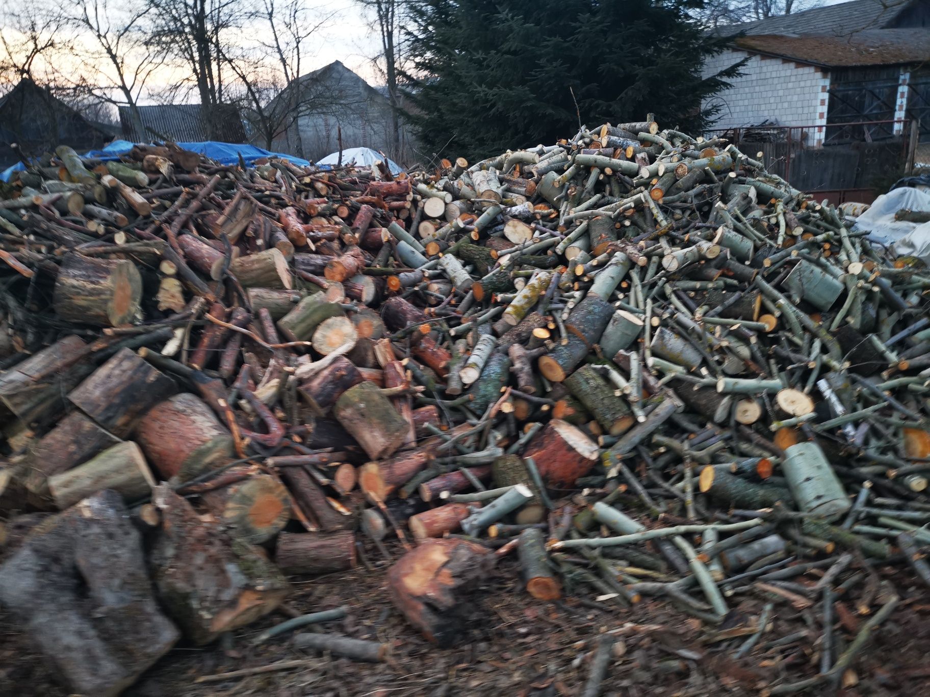 Drewno do wędzarni-opałowe jabłoń-czereśnia-osika-sosna