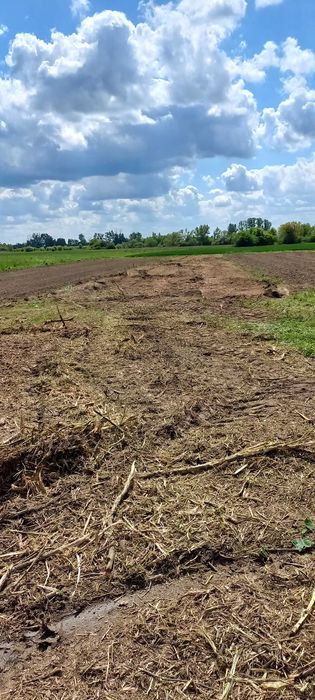 Mulczer, Karczowanie zarośli, czyszczenie działek WYCENA GRATIS !!!