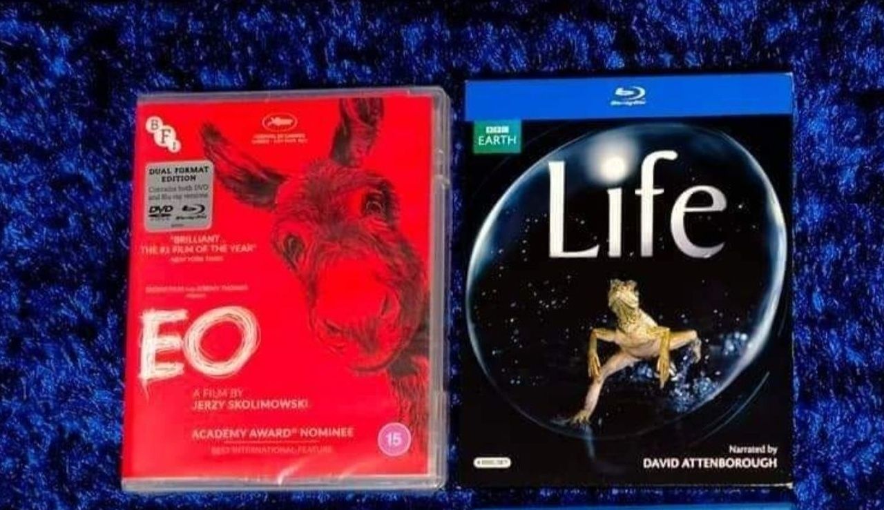 Filmes em blu-ray sem legendas pt .