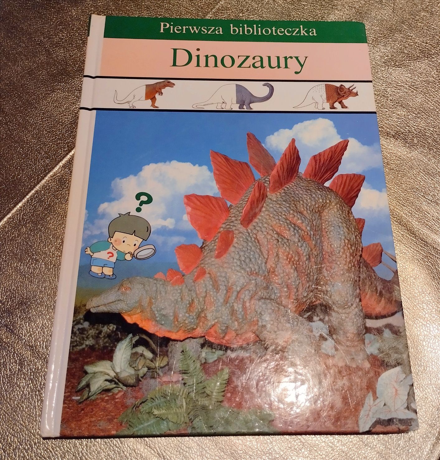 Pierwsza biblioteczka . Dinozaury