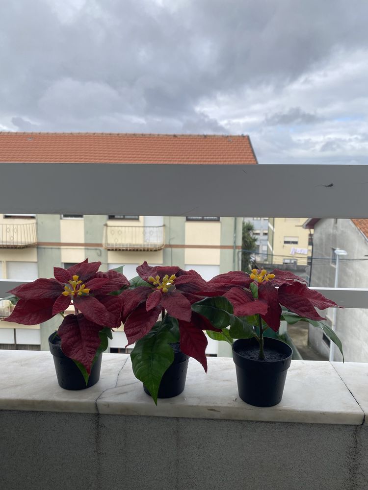 vendo conjunto de 21 plantas artificiais