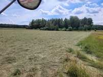 Siano suche z prasy pasowej