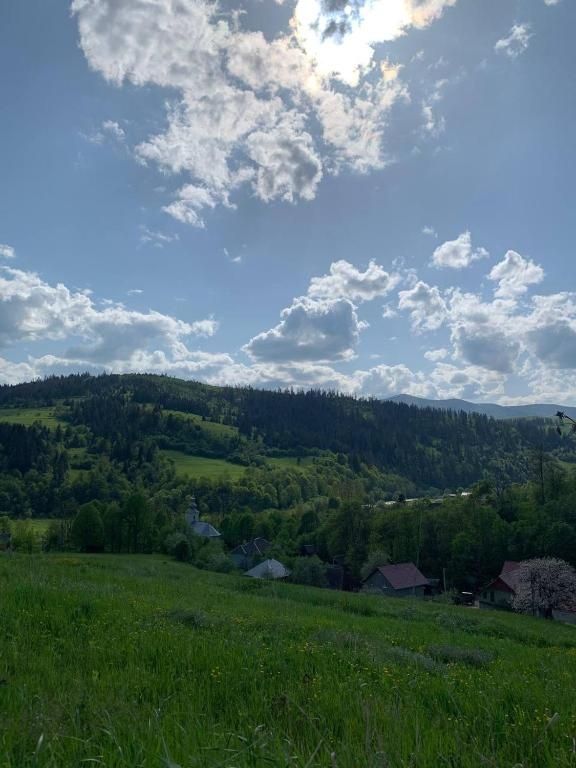 Відпочинок в Карпатах