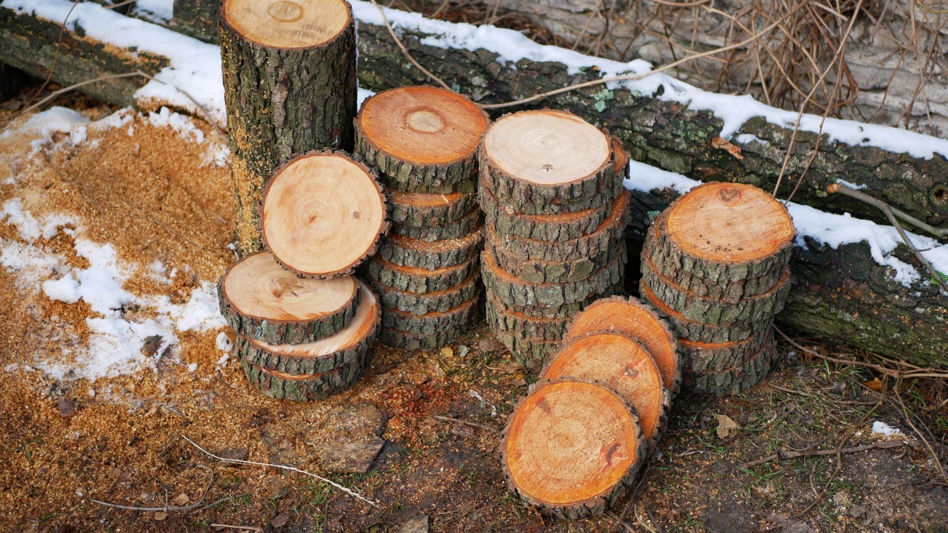 Plastry drewna ozdoba krążki deska duże małe okazja