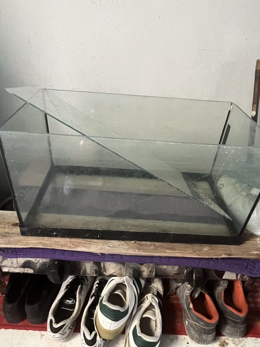 Aquario: 60cm de comprimento