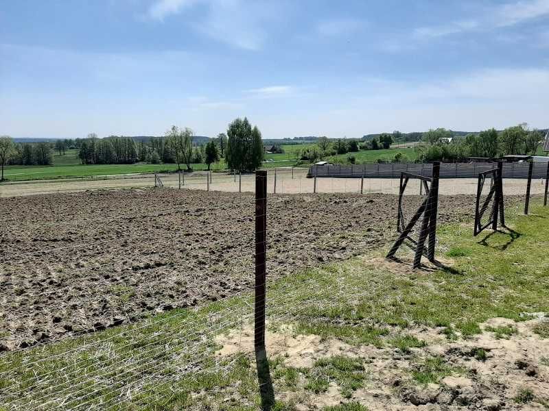 Ogrodzenie z siatki leśnej-brama-furtka