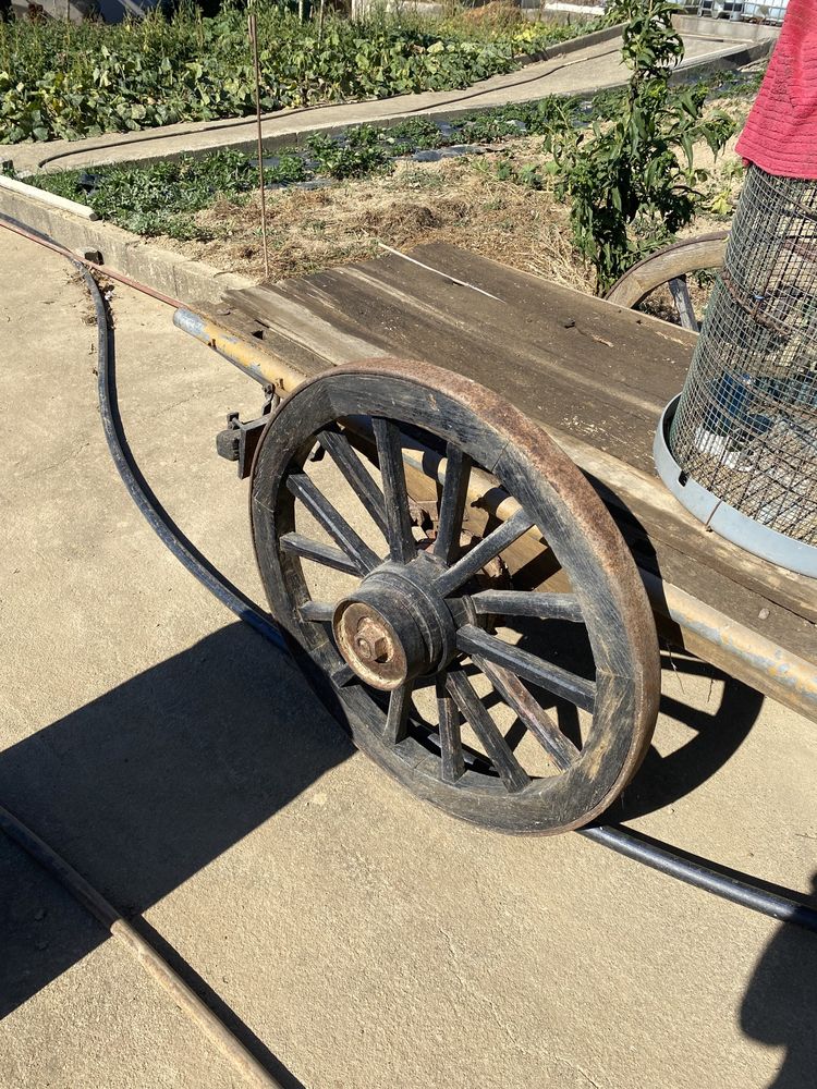 Carro junta de bois