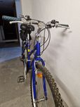 Rower damski + torba