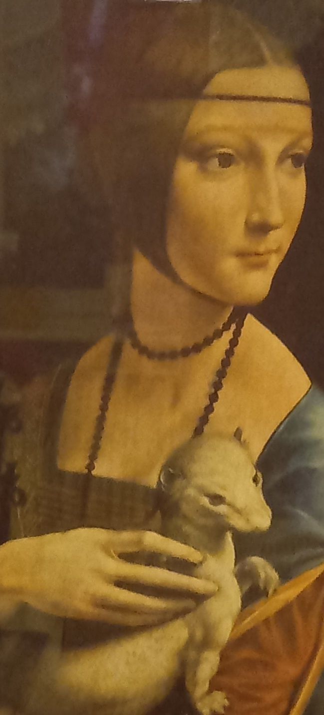 Dama z łasicą obraz