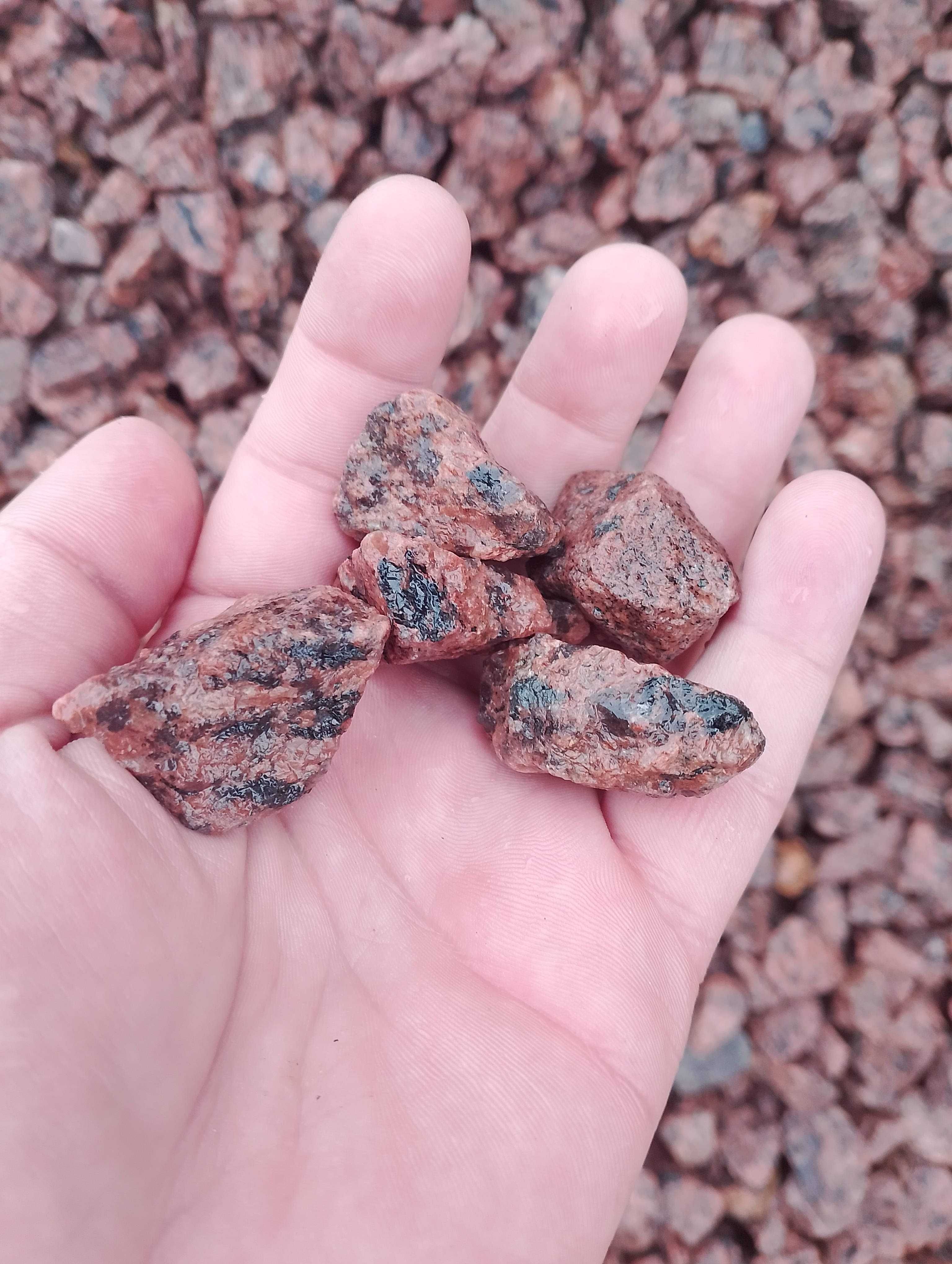 Grys Granitowy "Dalmatyńczyk"/Kamienie ozdobne w SUPER CENIE!