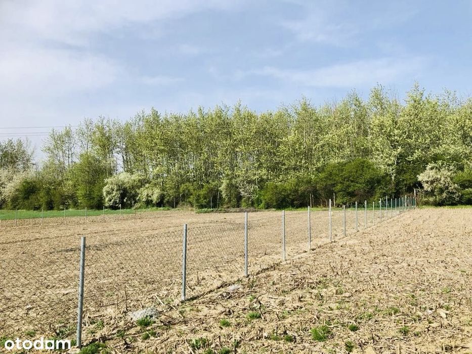 Działka pod zabudowę wielorodzinną!