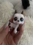 lps dog niemiecki