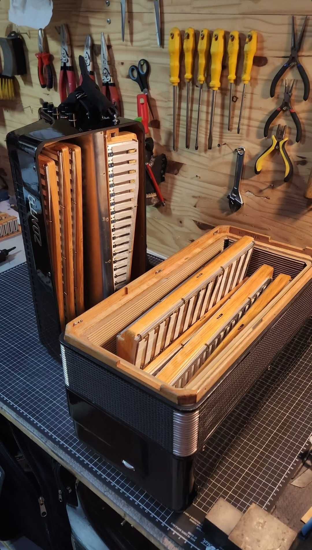 Acordeon Profissional russo (bayan)