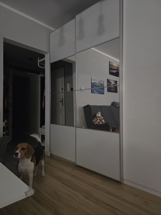 Drzwi przesuwne szafy pax 150x236