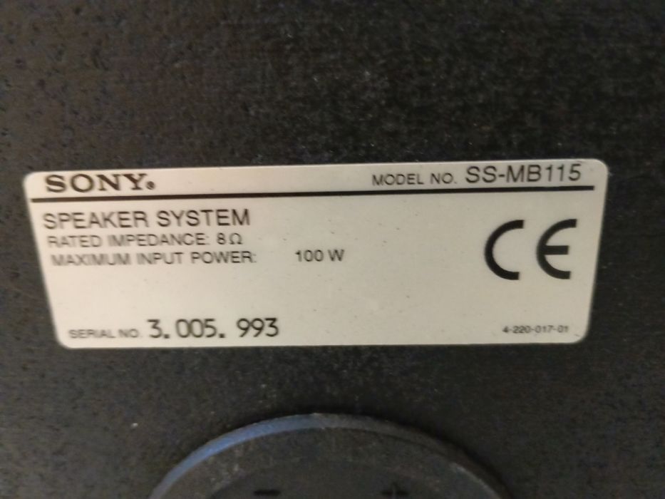 Kolumny, monitory SONY 100 WAT