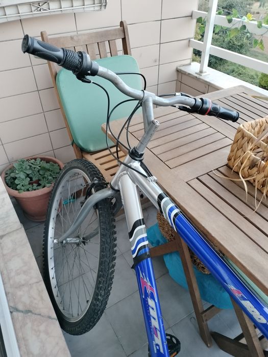 Bicicleta adulto