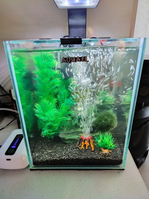 Dwa kompletne akwaria 30L i 10L + mnóstwo akcesoriów