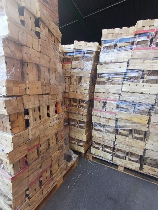 Łubianki 1 razu użyte. Jasne, ładne, mocne