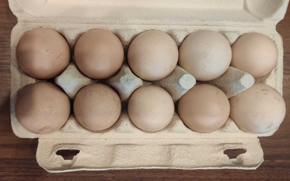 Eko jajka od szczęśliwych kur