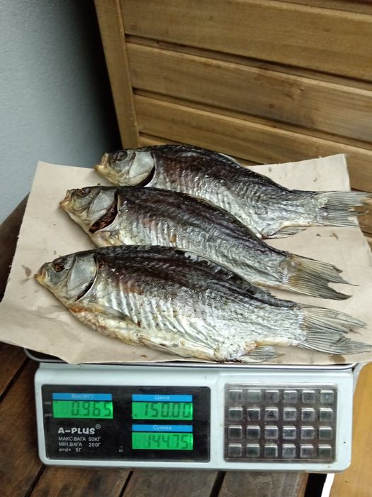 Риба Власного виробництва