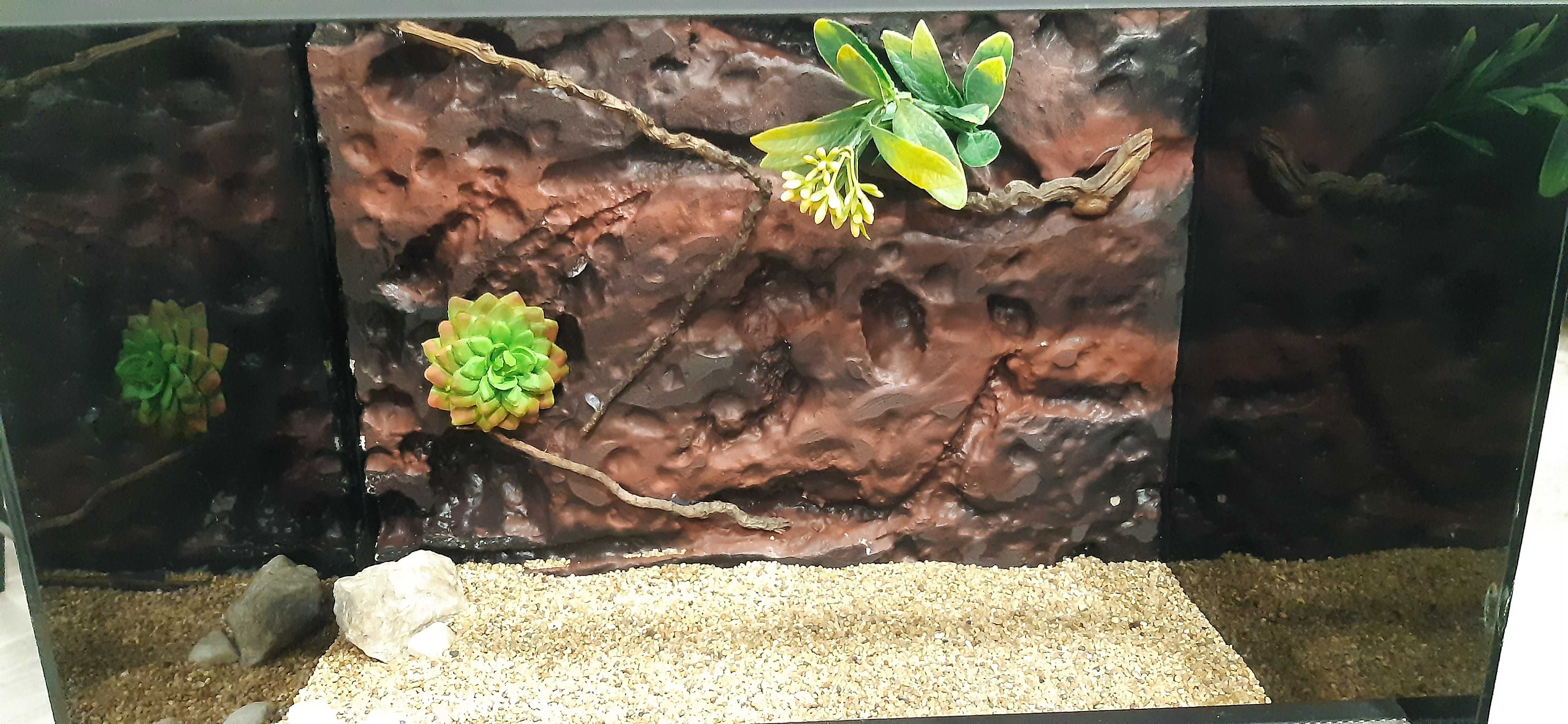 Terrarium 30x30x40