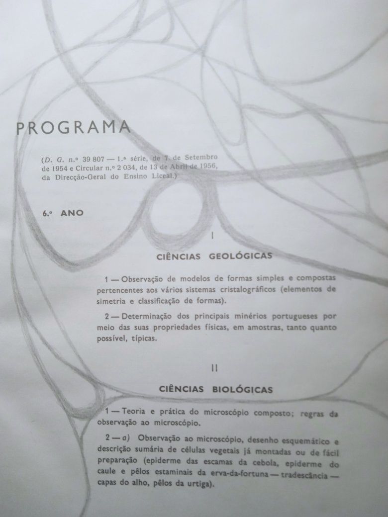 Guia De Trabalhos Práticos De Ciências Naturais Lopes Gonçalves 
€6