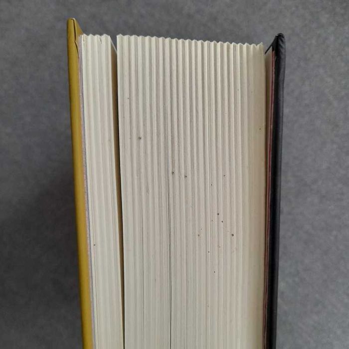 Money mistrzowska gra Robbins