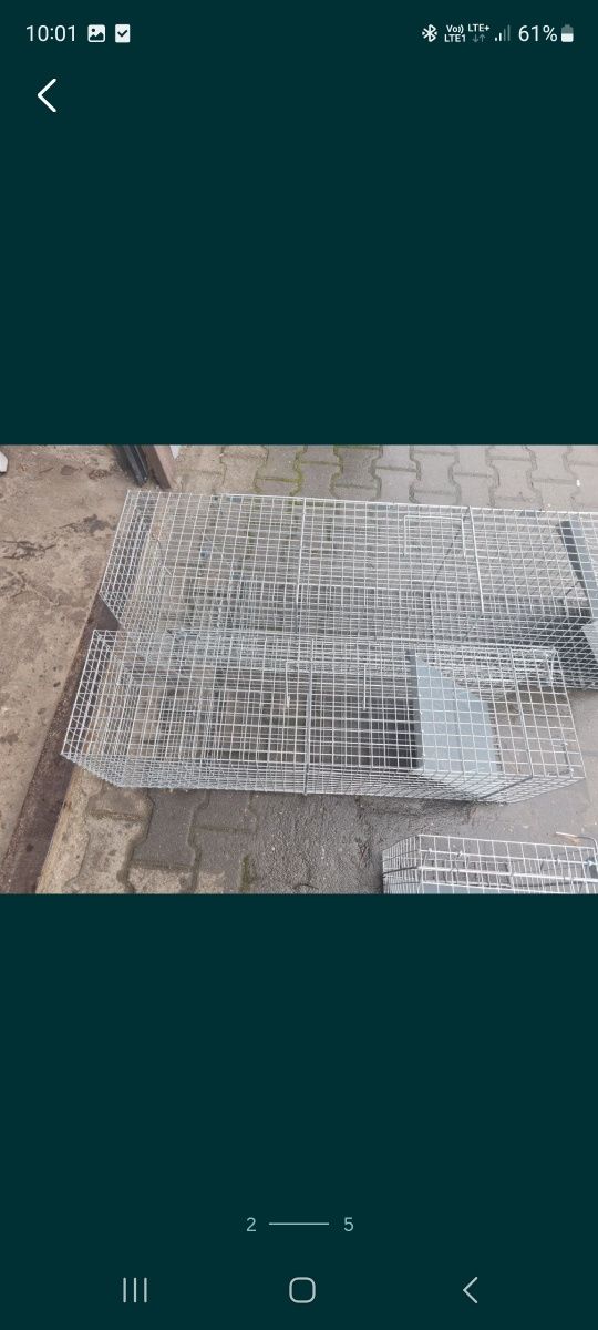 Klatka łapka lisy koty psy kuny i inne